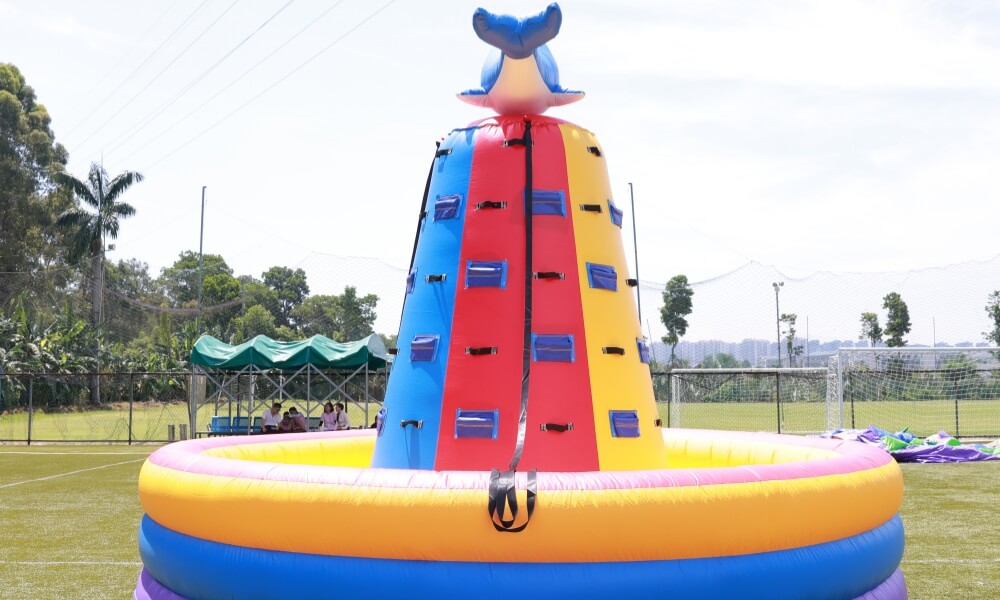 NEW! Inflatable Dolphin Rock Climbing Wall 12ft Tall Bouncinlife
