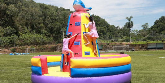 The Ultimate Climbing Revolution: Dolphin Dash Lands at Bouncinlife!