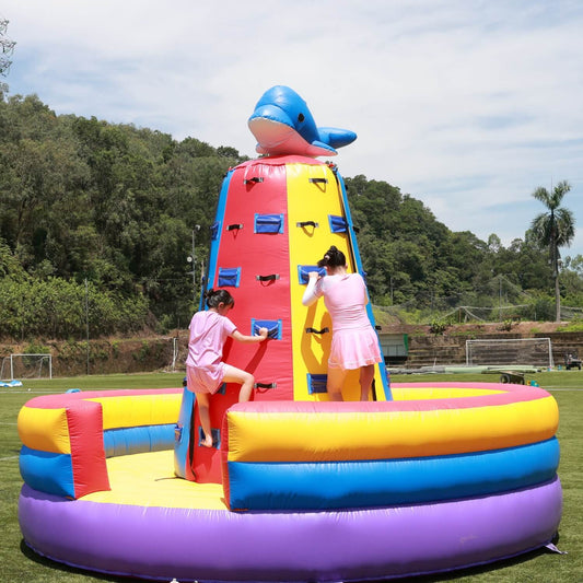 NEW! Inflatable Dolphin Rock Climbing Wall 12ft Tall Bouncinlife