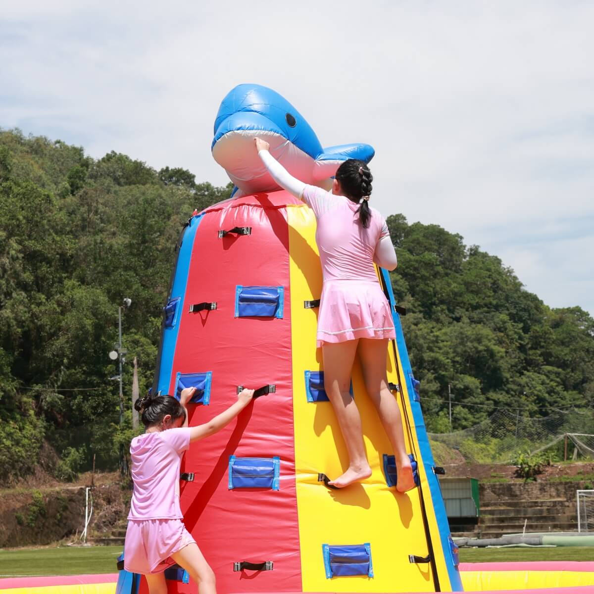 NEW! Inflatable Dolphin Rock Climbing Wall 12ft Tall Bouncinlife