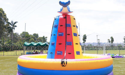 NEW! Inflatable Dolphin Rock Climbing Wall 12ft Tall Bouncinlife